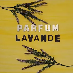 Parfum Lavande Appartement Grasse